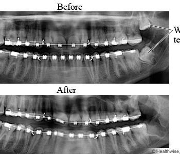 WhatsApp Image 2025-03-19 at 23.35.44_f577b8d3